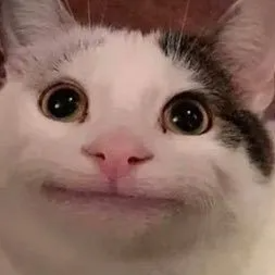Пользователь
